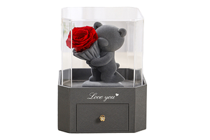 Romantic Valentines Day Christmas Mothers Day Anniversary Birthday Gifts for Girlfriend Wife Mom