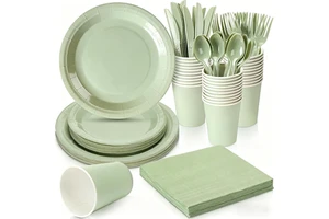 Thanksgiving Day Disposable Light Green Paper Tableware for Party Packs Products