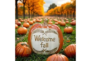 Fall Harvest Festival Halloween Thanksgiving Day Christmas Party Decorations Pumpkin Kit-for Holiday Supplies