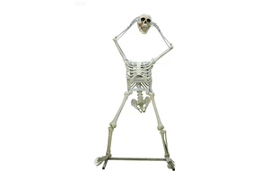 Halloween Outdoor Giant Skeleton with Life Eyes Skull Large Skeleton With Sound Effects and Animation