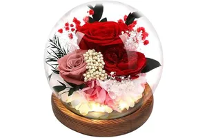 2025yearsValentines Day Gift Mother's Preserved Flowers Forever Rose Eternal Roses In Glass Dome For Women Girlsbest Quality