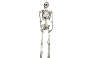 Skull Skeleton Halloween Hanging Ghost Display Haunted House Decoration Human Body Secret Room Mummy Funny Scene Props