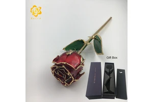 Valentine Day Gift Gold Plated the Eternal Rose in Pearl Red Color with Real Flower and Leaves and Branch Inside with Box Gift