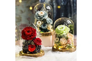 2025years New Product Ideas Large Preserved Flowers In Glass Dome Valentines Day Gifts Eternal Real Rose Everlastingbest Quality