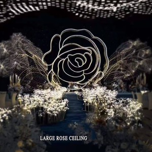 Manufacturers Wholesale New Luxury Iron Wedding Ceiling Drape Rose Design Hotel Wedding Hall Shadow 0.4x5m Hanging Installations