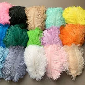 Decorative Flowers Artificial 15-20cm Colored Ostrich Feathers Plumes for Internet-Famous Photo Background Cake Arrangement