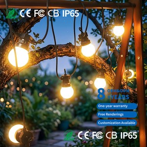 Hometown Evolution 100 Foot Black G50 Globe String Lights Copper Outdoor String Lights For Patio Cafe Party Christmas Lighting