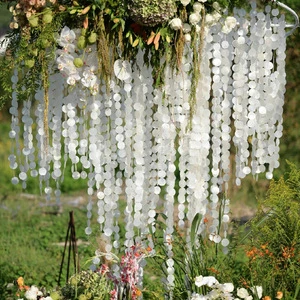 Wedding Background Sequins Bead Curtain Hanging Stage Ceiling Shop Wedding Decoration Natural Shell Shell Sequins