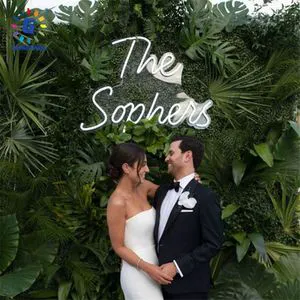 Wholesale LED Neon Signs For Advertising Car Company Hospitals Weddings Birthday Parties Proms Malls Home Walls AC Compatible