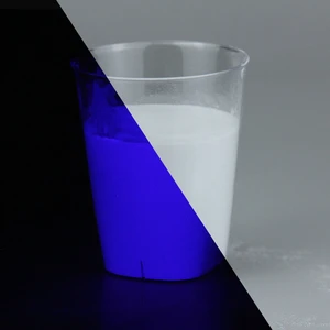 Halloween Theme Party Luminous Photoluminescent Pigment Glow in the Dark Powder for Art Painting DIY Crafts Nail Art