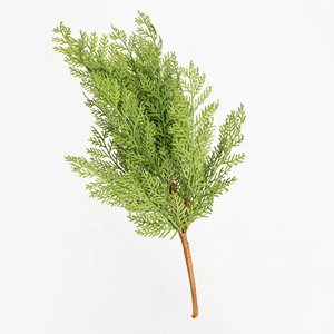 Big Branch Traditional Indoor Christmas Decoration 55cm Green Wall Mount Synthetic Elegant Garlands & Wreaths Made in Italy