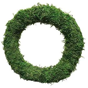 Cross Border Exclusive Moss Ring Flower Wreath Dyeing Native Natural Moss Handmade DIY Flower Wreath Flower Shop Christmas