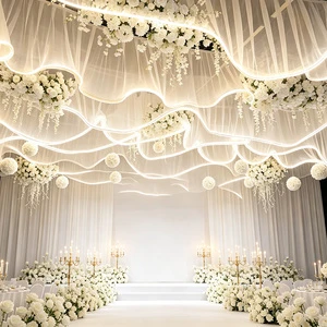 S-Shaped Ceiling Curtain, Romantic Background Decor for Wedding Party