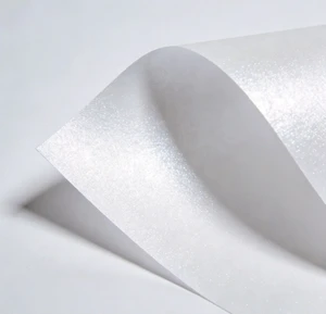 A4 250gsm Coated Specialty Paper Pearlescent Cardstock Shiny Pearl Powder Ice White Color DIY Craft Material 50 Pieces Per Bag