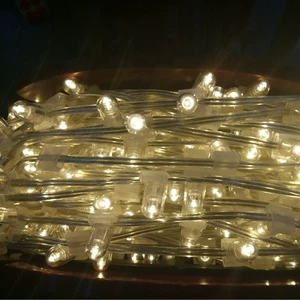 Wholesale Kaxled 12V 3500K Warm White IP44 LED Fairy Garland Clip Lights 100m 50 LEDs CE ROHS Indoor Outdoor Christmas Halloween