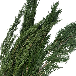 Preserved Juniper Foliage Evergreen Sprays Cypress Branches Everlasting Pine And Cypress Dried Flower For Christmas Decor