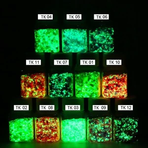 12 Colors Glow in the Dark Glitter Powder Luminous Mixed Glitter Sequins 5 Grams