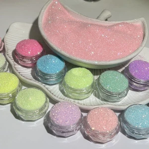 PET Glitter Polyester Glitter Powder Biodegradable & Eco-Friendly 1kg Hot Selling Factory Price for Cosmetic & Craft Use