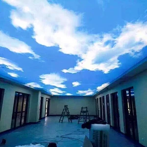Luxury Roof Decoration Pop False Ceiling 3d Effect Fabric Stretch Ceiling Film Pvc Lighting Box Pvc Ceiling For Fabric Designs