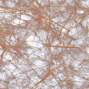 Champagne Eco Friendly Abaca Fibre Flower Wrapping Paper All Natural Materials Biodegradable