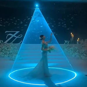 Cinderella Dream Wedding Laser Light 4W Full Color Animation Mobile APP Wireless Control Wedding Party Stage Light