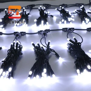 Rubber Wire LED Wedding Lights Outdoor Decorative Lighting for Festive Occasions High Quality Waterproof