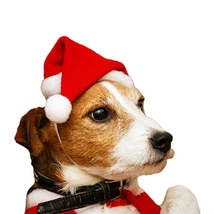 Mini Pet Santa Hat Soft Plush Christmas Hat for Small Dog Cat Puppy Kitten Xmas Party Costume Accessory Wholesale