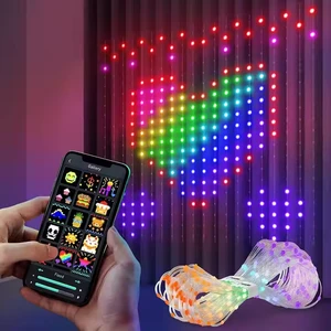 2025 Hot Sale DIY Smart LED Outdoor Garden Light for Party Wedding Christmas Holiday Decoration and Wedding Curtain Light