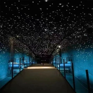 Fibra Optica Lighting Fiber Optic Star Ceiling Tiles Star Ceiling For Home Living Decoration Accept Customization