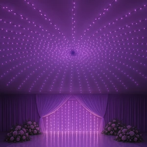 Ice Blue LED Ceiling Fairy Light Canopy for Wedding Decoration Indoor Starburst String Lights Draped Backdrop