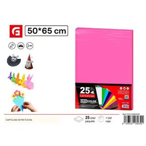 Fuchsia 50x65cm Cardstock for Wedding Christmas and Mother's Day Business Gifts Paper Craft Supplies ASIN 8436539069300