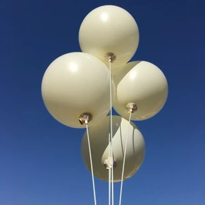 Wholesale Multi Color 12 Inch 100 Pcs Pack Latex Helium Round Balloons for Birthday Party Decoration