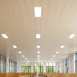 Acoustic Pvc Ceiling Panel Study Room Decoration Customized Nice Look Lightweight Ceiling Panels Pvc