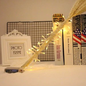 New Design Battery Powered Small LED Color String Lights Christmas Wedding Decorative Low Voltage Waterproof Led Fairy Lights