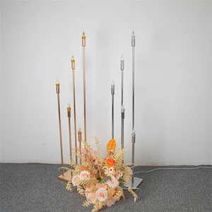 Starlight Pathfinder Wedding Light Decoration Wedding Decorations Light Lights Decoration Events Wedding