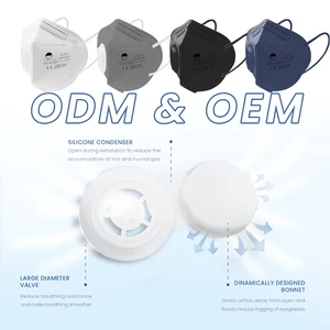 Eco-Friendly KN95 Disposable Respirator FFP2 Breathable Flat Pattern Face Mask CE EN149 Certification Dust Mask Certified