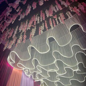 Ceiling Drapes Luxury Decoration Wedding Ceiling S-Shape Rods Light for Decorations