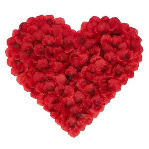 Romantic Flower Wedding Confetti Silk Paper for Sale