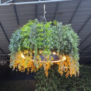 Ceiling Lamp Plants round Fiberglass Tree Design for Outdoor Office and Hotel Spaces PE Ceiling Lamp Trees