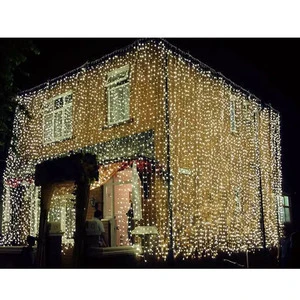 30 LEDs Copper Wire Lights 9.8Ft/3M String Lights for Christmas Light Festival Wedding Party or Home Decoration Lamp