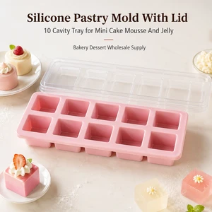Food Contact Silicone Pastry Mold With Lid 10 Cavity Square Tray For Mini Cake Mousse Jelly Bakery Wholesale Supply