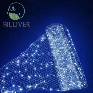 Wedding Romantic Christmas Outdoor Indoor Ceiling Decorative Sky Net Light Wedding Decoration Lights