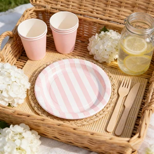 Wholesale New Arrival Eco-Friendly Lanweier Pink And White Stripes Pattern Disposable Party Paper Plate For Parties