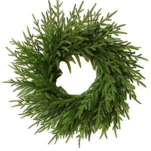 24-Inch Realistic Artificial Norfolk Pine Wreath Eco-Friendly Greenery Garland for Indoor Outdoor Front Door for Holiday