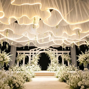 Hanging S-Shaped Ceiling Curtain with LED Strips, Wedding & Mall Ceiling Decoration Props