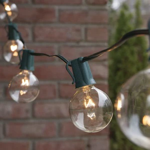 Hot Sale LED Decorative Lights 100-120V Color Changing Indoor Outdoor Christmas Wedding Decor