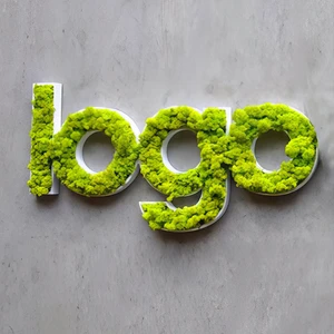 Lc Sign Moss Letters, Custom Wall Letters,Custom Moss Letters, WallLetters, Moss Letters With Light,Custom Sign, Moss Logo, Mosswall Art