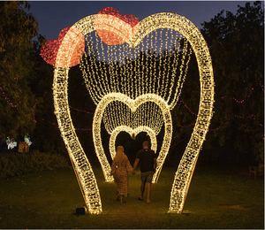 Heart Shaped Led Wedding Arch