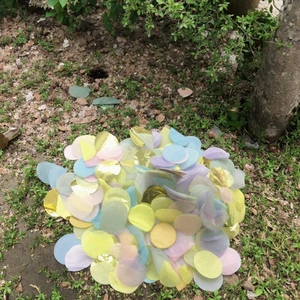 Multicolor Tissue Paper Confetti in Various Shapes for Weddings and Parties