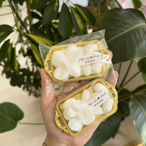 Iridescent Personalized Seashell Beach Wedding Favor Boxes Elegant Shell-shaped Candy Boxes for Bridal Shower & Party Gifts